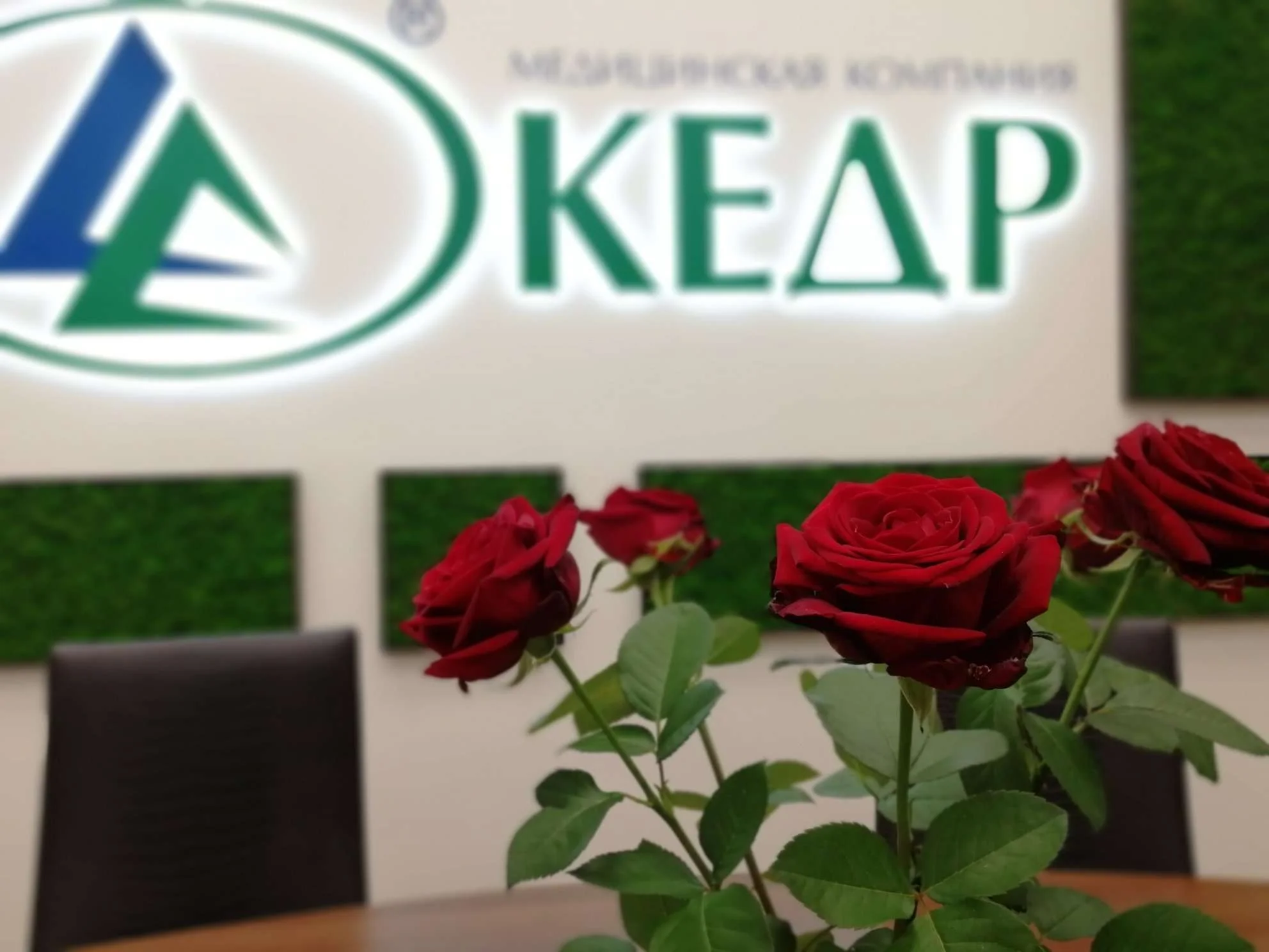 Наш уютный офис. =) Медицинское оборудование от компании 'Кедр'