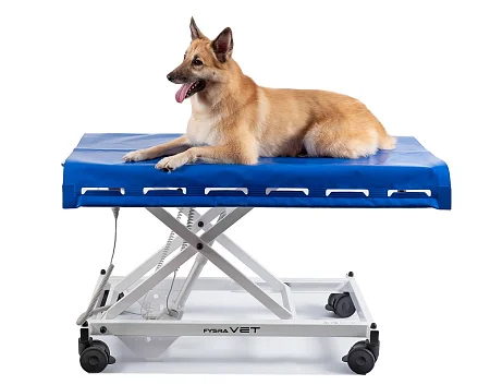Ветеринарный стол Fysioline VET-4