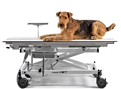 Ветеринарный операционный стол Fysioline VET-5