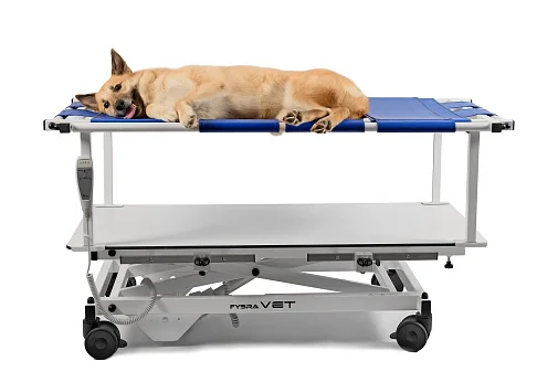 Ветеринарный стол Fysioline VET-3-3