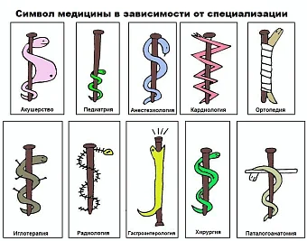 День медицинского работника Медицинское оборудование от компании 'Кедр'